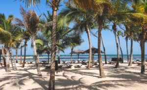 Beach chairs and palm trees, a welcoming Kenya coast setting