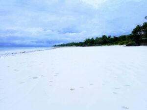 Quiet beach with trees and a hill, the kind of specific setting long-tail search captures