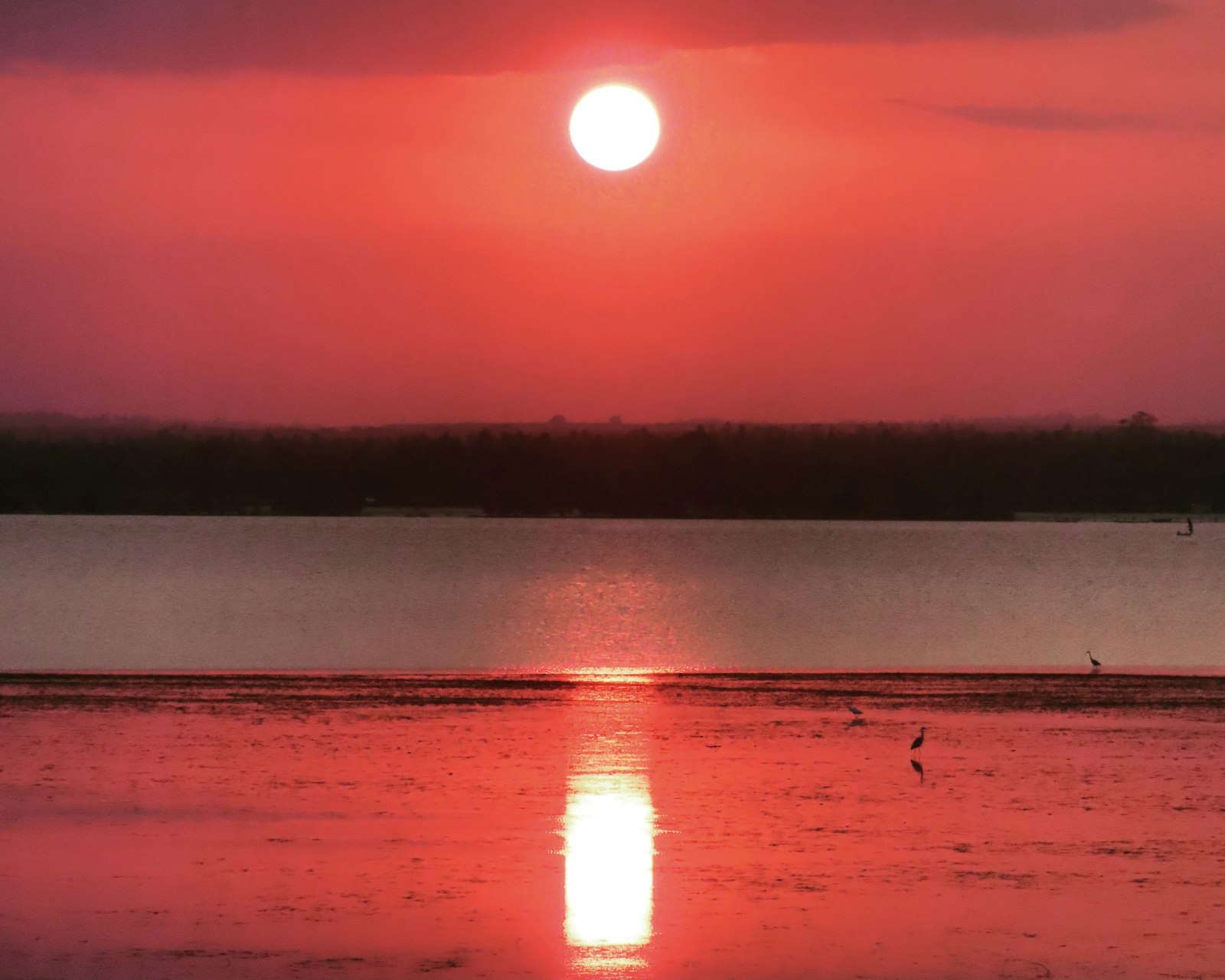 Sunset over the water, the kind of large image that can slow down a hospitality website if not optimized