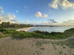 Beach with palm trees and boats, a Kenya coast tour operator setting