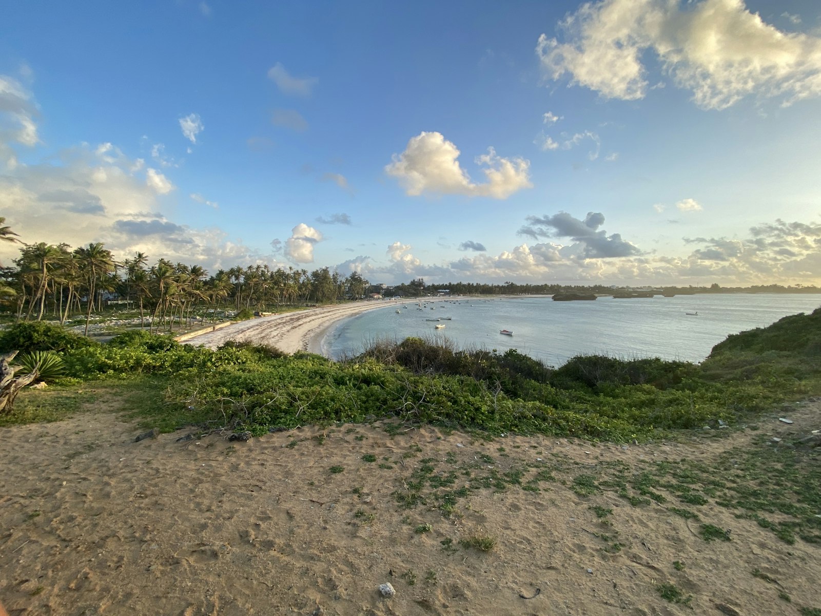 Beach with palm trees and boats, a Kenya coast tour operator setting